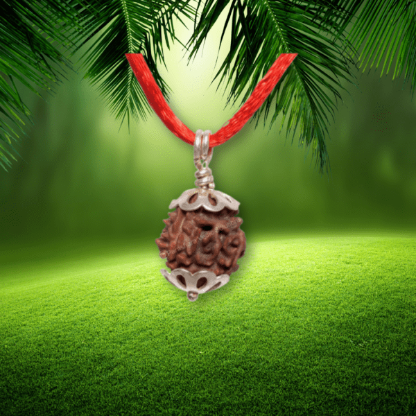 Three Mukhi Rudraksha
