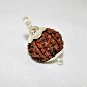 Five Mukhi Rudraksha