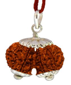 Gauri Shankar Rudraksha