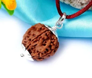 1 Mukhi Rudraksha