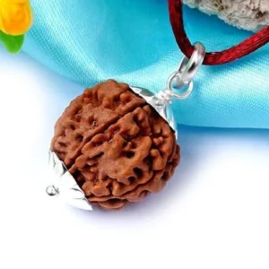 1 Mukhi Rudraksha