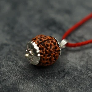 7 Mukhi Rudraksha
